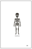 Pocket Pimped: Orthopedic Surgery